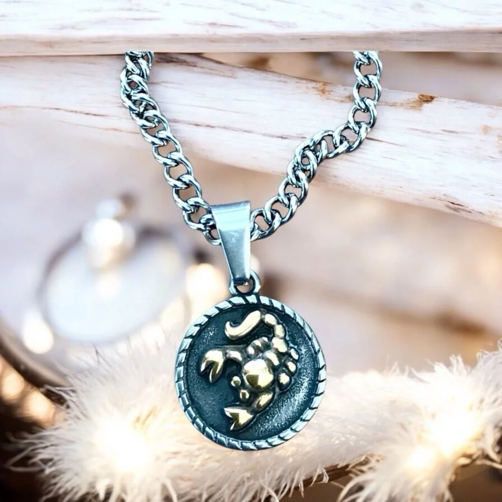 🆕 Scorpio Rustic Coin Pendant Necklace Stainless Steel